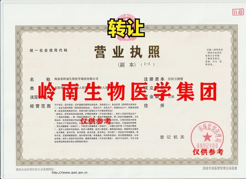 嶺南速度 從工商特批到醫(yī)療用品專營(yíng)的躍遷之路